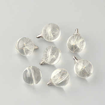 Round Alloy Glass Pendants, Cadmium Free & Lead Free, with Dried Dandelion Inside, For Dandelion Wish Necklaces Making, Platinum, 25~26x20mm, Hole: 1.5mm