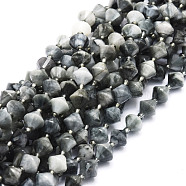 Natural Eagle Eye Stone Beads Strands, Faceted, Bicone, 8x8mm, Hole: 1mm, about 40pcs/strand, 15.24''(38.7cm)(G-E569-C10)