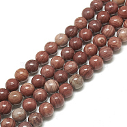 Natural Wood Lace Stone Beads Strands, Round, 10mm, Hole: 1mm, about 39pcs/strand, 15.3 inch(G-S300-108-10mm)
