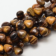 Natural Tiger Eye Teardrop Beads, 18x15x10mm, Hole: 1mm(G-P094-03)