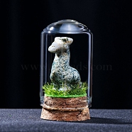 Natural Syenite Display Decorations, with Glass Cover, Alpaca, 33x55mm(PW-WGFBCAE-07)