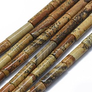 Natural Picture Jasper Beads Strands, Column, 11~15x3.5~4.5mm, Hole: 1~1.2mm, about 28~30pcs/strand, 15.1~15.9 inch(38.5~40.5cm)(G-F631-D04-02)