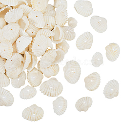 120Pcs Natural Freshwater Shell Beads, Shell Shape, Seashell Color, 18~24x22~32x8~10mm, Hole: 1.2mm(BSHE-PA0001-04)