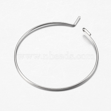 316 Surgical Stainless Steel Hoop Earrings Findings(STAS-I097-050C)-3
