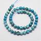 Natural Apatite Beads Strands(G-D856-01-10mm)-2