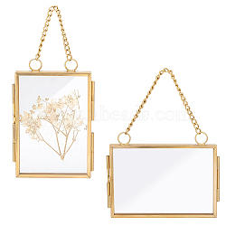 2Pcs 2 Style Brass Glass Hanging Photo Frame, DIY Artwork Display Frame for Dried Plant Specimen Pressed Flowers, Golden, 115~130mm, 1pc/style(HJEW-OC0001-34)