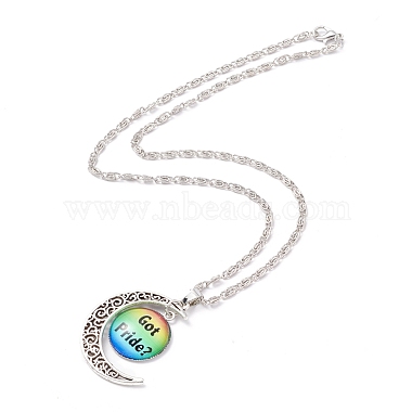 Collier de fierté arc-en-ciel(NJEW-F291-01F)-2