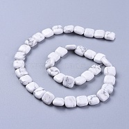 Natural Howlite Beads Strands, Square, 10~11x10~11x4~5mm, Hole: 0.8~1mm, about 37pcs/Strand, 15.35 inch(39cm)(G-G805-C11)