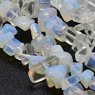 Chip Opalite Beads Strands, 5~8x5~8mm, Hole: 1mm, 34 inch(X-G-N0134-15)