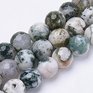 Natural Tree Agate Beads Strands, Faceted, Round, 6mm, Hole: 1mm, about 62pcs/strand, 15.3 inch(G-S281-15-6mm)