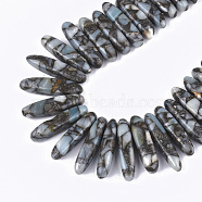 Natural Imperial Jasper Beads Strands, Graduated Strip, 18~46x4~8x6~9mm, Hole: 1mm, about 55~64pcs/strand, 15.7 inch~16.5 inch(G-S355-12)