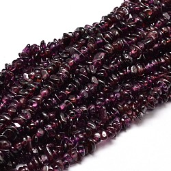 Natural Garnet Chip Beads Strands, 5~14x4~10mm, Hole: 1mm, about 15.5 inch~16.1 inch(G-E271-98)