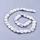 Natural Howlite Beads Strands(G-G805-C11)-1