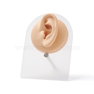 Soft Silicone Ear Displays Mould, with Acrylic Stands, Earrings Ear Stud Display Teaching Tools for Piercing Suture Acupuncture Practice, PeachPuff, Stand: 8x5.1x10.6cm, Silicone: 6.4x6.3x2.7cm(ODIS-E016-01)