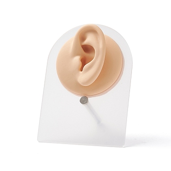 Soft Silicone Ear Displays Mould, with Acrylic Stands, Earrings Ear Stud Display Teaching Tools for Piercing Suture Acupuncture Practice, PeachPuff, Stand: 8x5.1x10.6cm, Silicone: 6.4x6.3x2.7cm