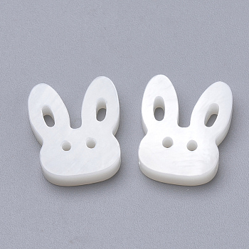 Bunny Natural Freshwater Shell Beads, Rabbit Head, Creamy White, 12x14.5x3mm, Hole: 1mm