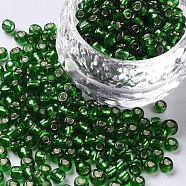 6/0 Glass Seed Beads, Silver Lined Round Hole, Round, Lime Green, 6/0, 4mm, Hole: 1.5mm, about 450pcs/50g, 50g/bag, 18bags/2pound(SEED-US0003-4mm-27)