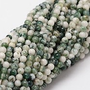 Natural Tree Agate Beads Strands, Round, 2mm, Hole: 0.5mm, 190pcs/strand, 15.7 inch(X-G-N0192-01-2mm)
