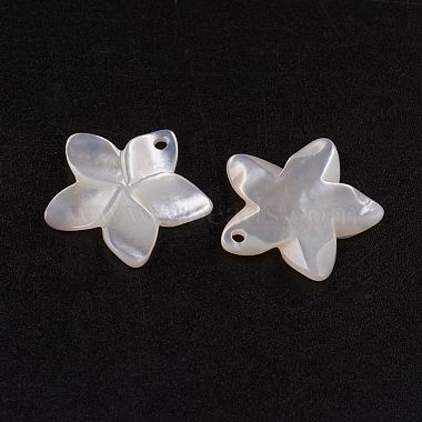 Natural White Shell Mother of Pearl Shell Pendants(X-SSHEL-G014-60)-2