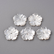 Natural White Shell Mother of Pearl Shell Beads, Carved, Sakura, WhiteSmoke, 20.5x21x2~3mm, Hole: 1mm(SSHEL-R144-37)