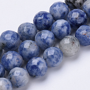 Natural Brazil Sodalite Beads Strands, Faceted, Round, 8mm, Hole: 1.2mm, about 45pcs/strand, 15.3 inch(G-S281-10-8mm)