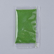 Decorative Moss Powder, for Terrariums, DIY Epoxy Resin Material Filling, Lime Green, Packing Bag: 99x58x7mm(X-DIY-E032-06E)
