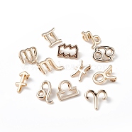 12Pcs 12 Style Alloy Charms Set, Twelve Constellations Charm, Light Gold, 11~15x8.5~13.5x2.5~6mm, Hole: 2mm, 1pc/style(FIND-A026-01KCG)