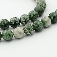 Natural Green Spot Jasper Round Bead Strands, 6mm, Hole: 1mm, about 68pcs/strand, 15.7 inch(G-P070-45-6mm)