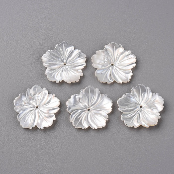 Natural White Shell Mother of Pearl Shell Beads, Carved, Sakura, WhiteSmoke, 20.5x21x2~3mm, Hole: 1mm