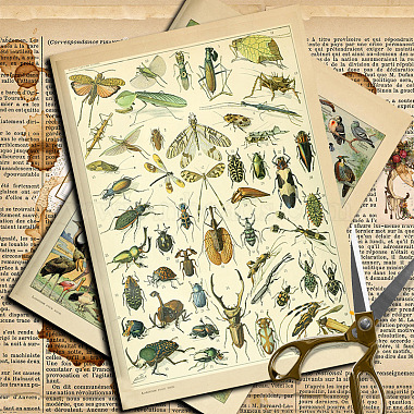 10Stück Insekten-Scrapbookpapier(PW-WG76726-01)-4