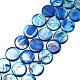 Natural Shell Beads Strands(SHS054-017)-1