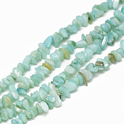 Freshwater Shell Beads Strands, Dyed, Chip, Pale Turquoise, 4~14x4~8x1~8mm, Hole: 1mm, about 210~250pcs/strand, 31.4 inch(SHEL-S270-18)