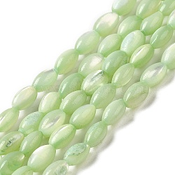 Natural Trochus Shell Beads Strands, Dyed, Rice, Light Green, 5x3~3.5mm, Hole: 0.7mm, about 81~82pcs/strand, 15.39''~15.51''(39.1~39.4cm)(SHEL-K006-19E)