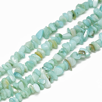 Freshwater Shell Beads Strands, Dyed, Chip, Pale Turquoise, 4~14x4~8x1~8mm, Hole: 1mm, about 210~250pcs/strand, 31.4 inch