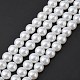 Glass Pearl Beads Strands(X-HY-10D-B01-1)-1