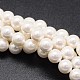 Shell Pearl Beads Strands(BSHE-E008-10mm-12)-1