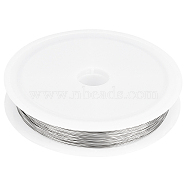 304 Stainless Steel Wire, Round, for Jewelry Making, Stainless Steel Color, 32 Gauge, 0.2mm, about 164.04 Feet(50m)/Roll(TWIR-BBC0001-01F)