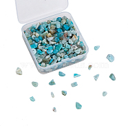 Natural Amazonite Chip Beads, 5~8x5~8mm, Hole: 1mm(G-CJ0001-21)