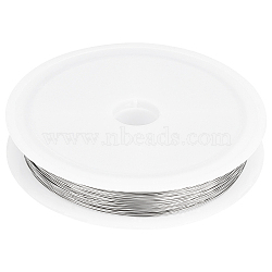 304 Stainless Steel Wire, Round, for Jewelry Making, Stainless Steel Color, 32 Gauge, 0.2mm, about 164.04 Feet(50m)/Roll(TWIR-BBC0001-01F)