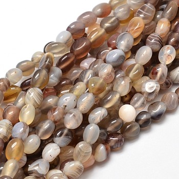 Natural Botswana Agate Nuggets Beads Strands, Tumbled Stone, 5~10x6~7x3~7mm, hole: 1mm, about 14.9 inch~15.7 inch