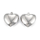 316 Surgical Stainless Steel Pendants(STAS-C026-15A-P)-2
