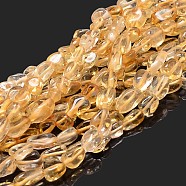 Natural Citrine Nuggets Beads Strands, Tumbled Stone, Dyed & Heated, 5~10x6~7x3~7mm, hole: 1mm, about 14.9 inch~15.7 inch(X-G-J335-27)