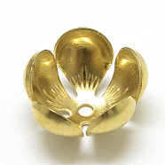 Plated Iron Bead Caps, Flower, 5-Petal, Golden, 12.5x6.5mm, Hole: 1mm(IFIN-S696-57G)