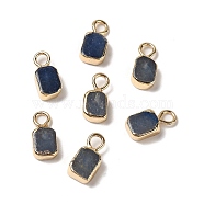 Natural Blue Aventurine Rectangle Charms, with Golden Tone Brass Edge, 9.5x5x2.5mm, Hole: 2mm(G-Q169-07G-07)