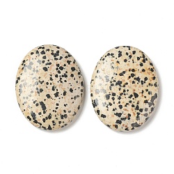 Natural Dalmatian Jasper Worry Stone for Anxiety Therapy, Oval Thumb Stone, 45x34~35x7~8.5mm(G-B036-01J)