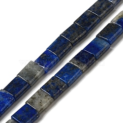 Natural Lapis Lazuli Beads Strands, 2-Hole, Square, 5.5x5.5x2.5mm, Hole: 0.8mm, about 71pcs/strand, 15.24 inch(38.7cm)(G-F762-A22-01)