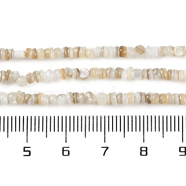 Natural Freshwater Shell Beads Strands(BSHE-H109-13A)-5