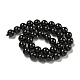 Natural Black Tourmaline Beads Strands(G-G763-01-10mm-AB)-5