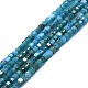 Chapelets de perles en apatite naturelle(G-P457-B01-14)-1