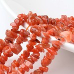 Chip Natural South Red Agate Bead Strands, Grade A+, 4~11x5~7x2~4mm, Hole: 1mm, about 15.7 inch(G-M349-08)
